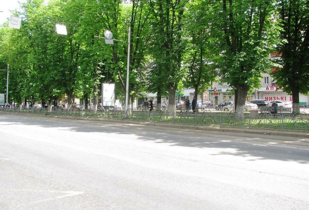 Apartment On Pyrohova 25 Vinnicja Kültér fotó